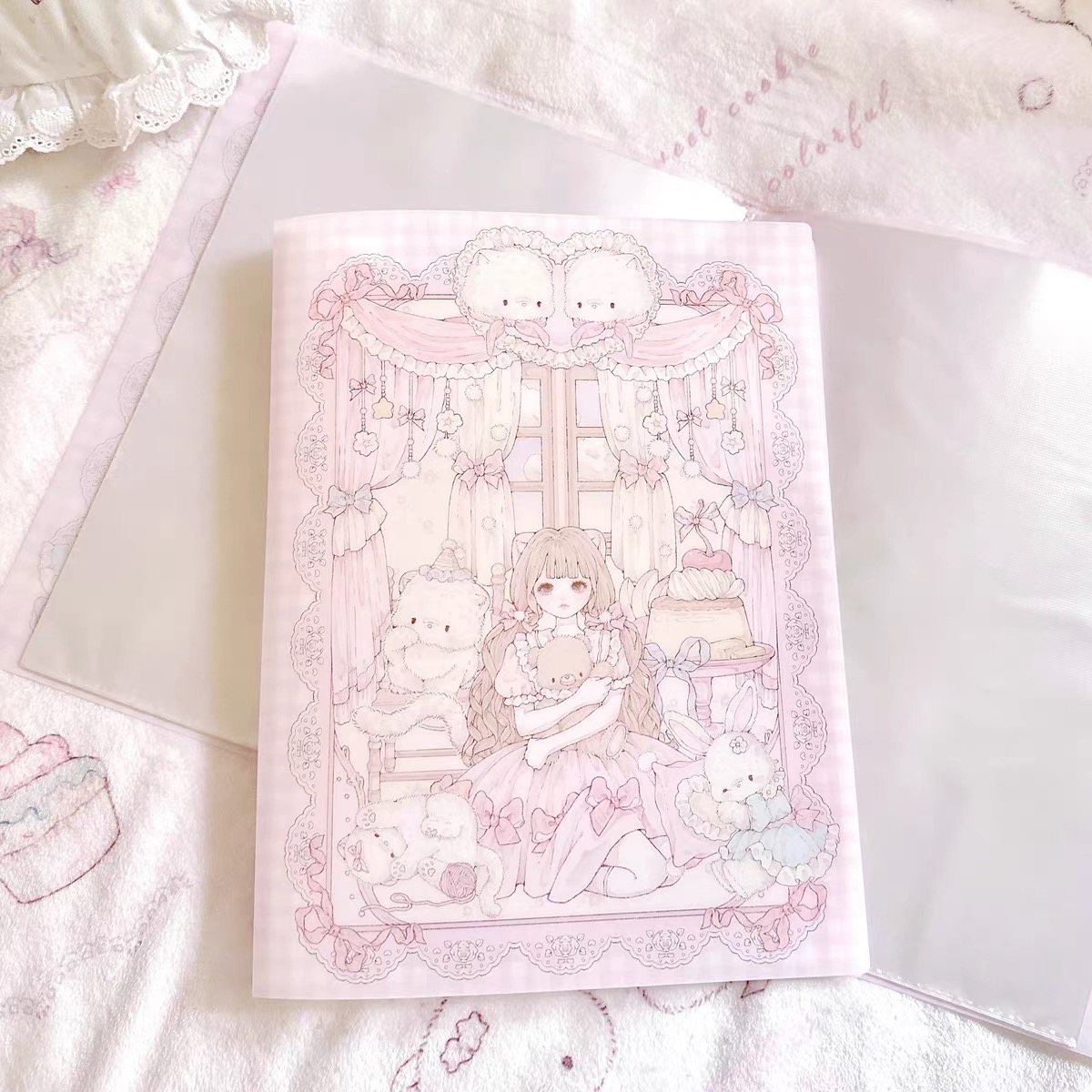 Binder Storage Box - 40 페이지 A4 만화 대용량 보관